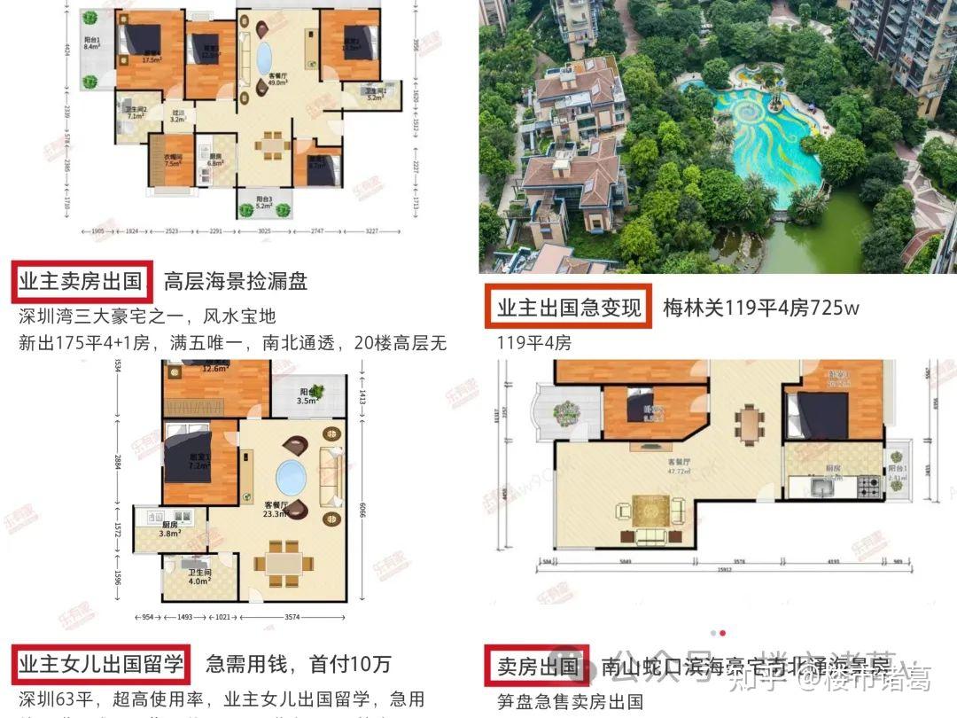 深圳房东,都在“卖房出国” - 知乎