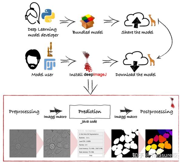 ImageJ实用教程——DeepImageJ（插件篇） - 知乎