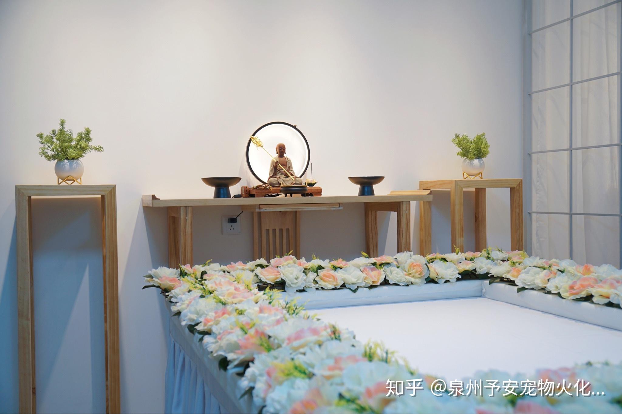 泉州宠物火化殡葬善终无害化处理