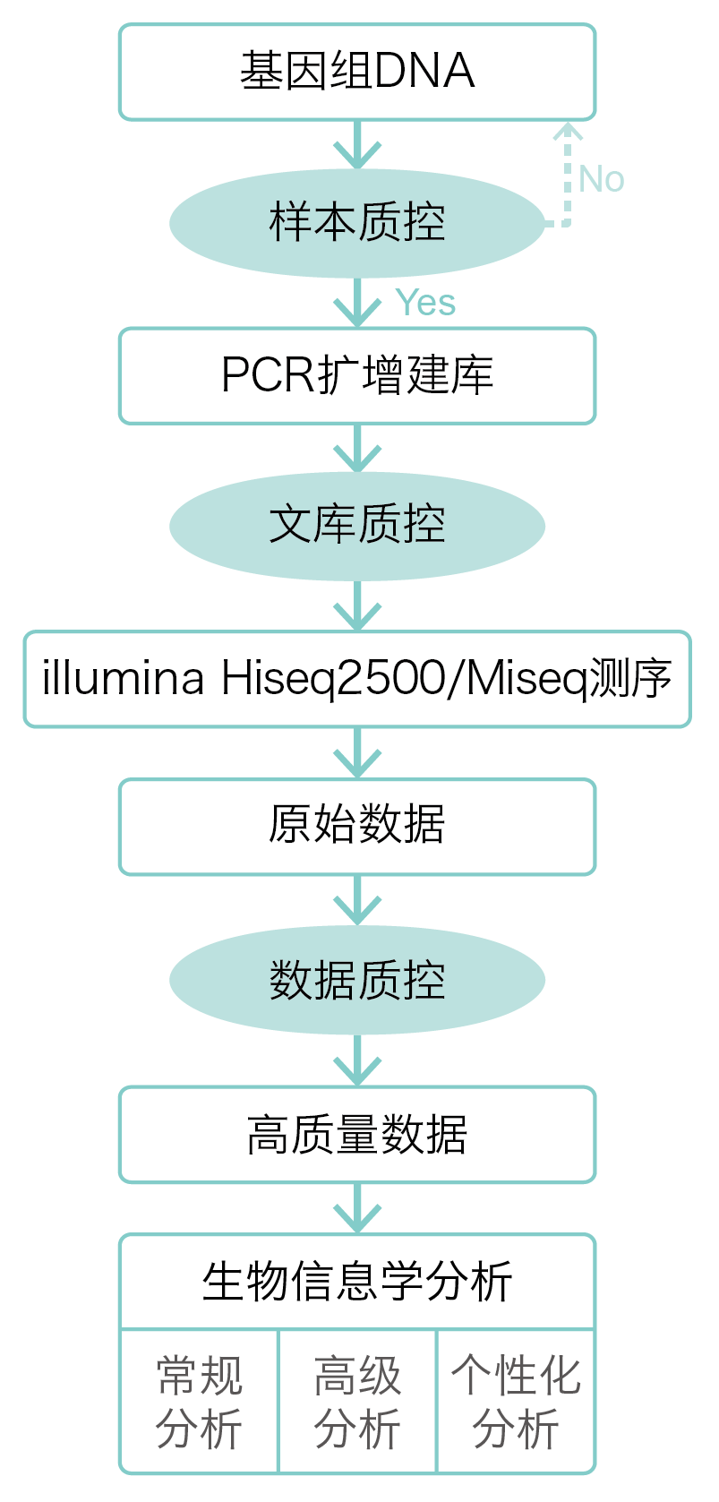 全基因组测序