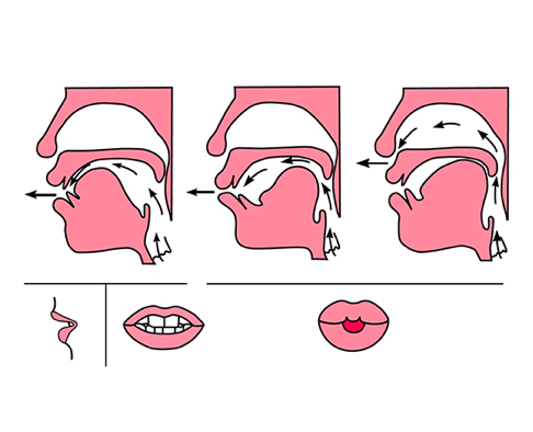 韵母舌位图图片