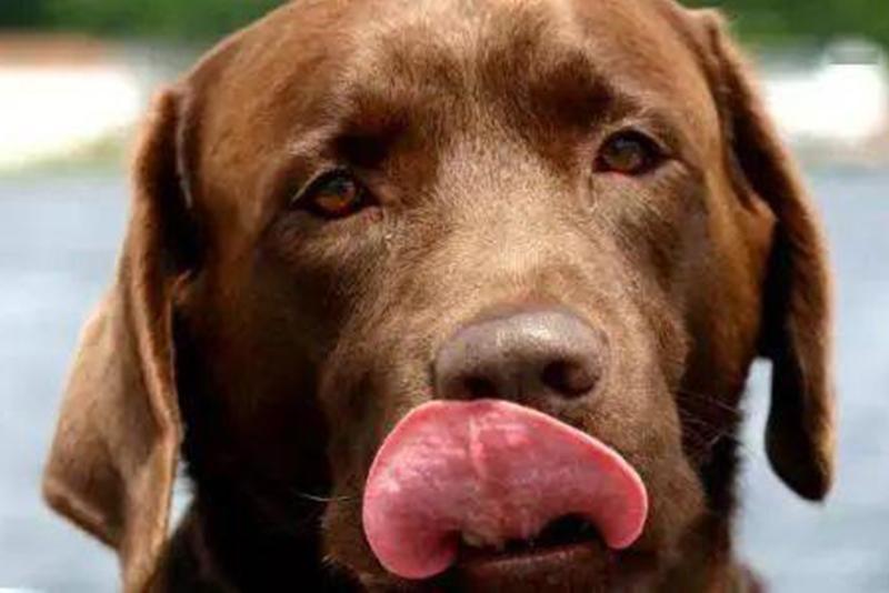 瀹是什么意思 v2-83792e60b1d1ad4ca64fb870347231be_1440w.jpg?source=172ae18b