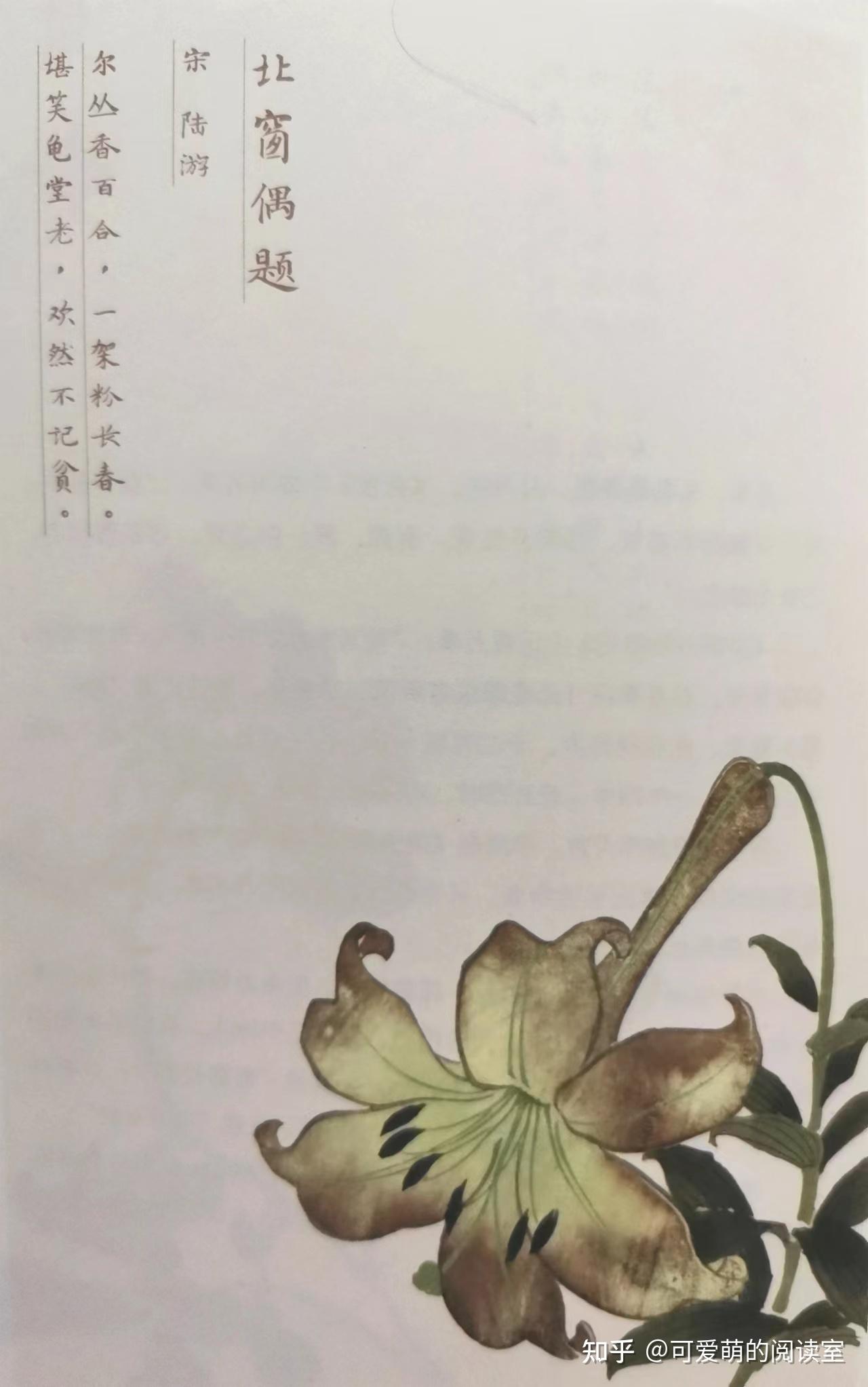 推荐《你好，中国花语》一本书带你认识九十种花，发现花之寓意 - 知乎