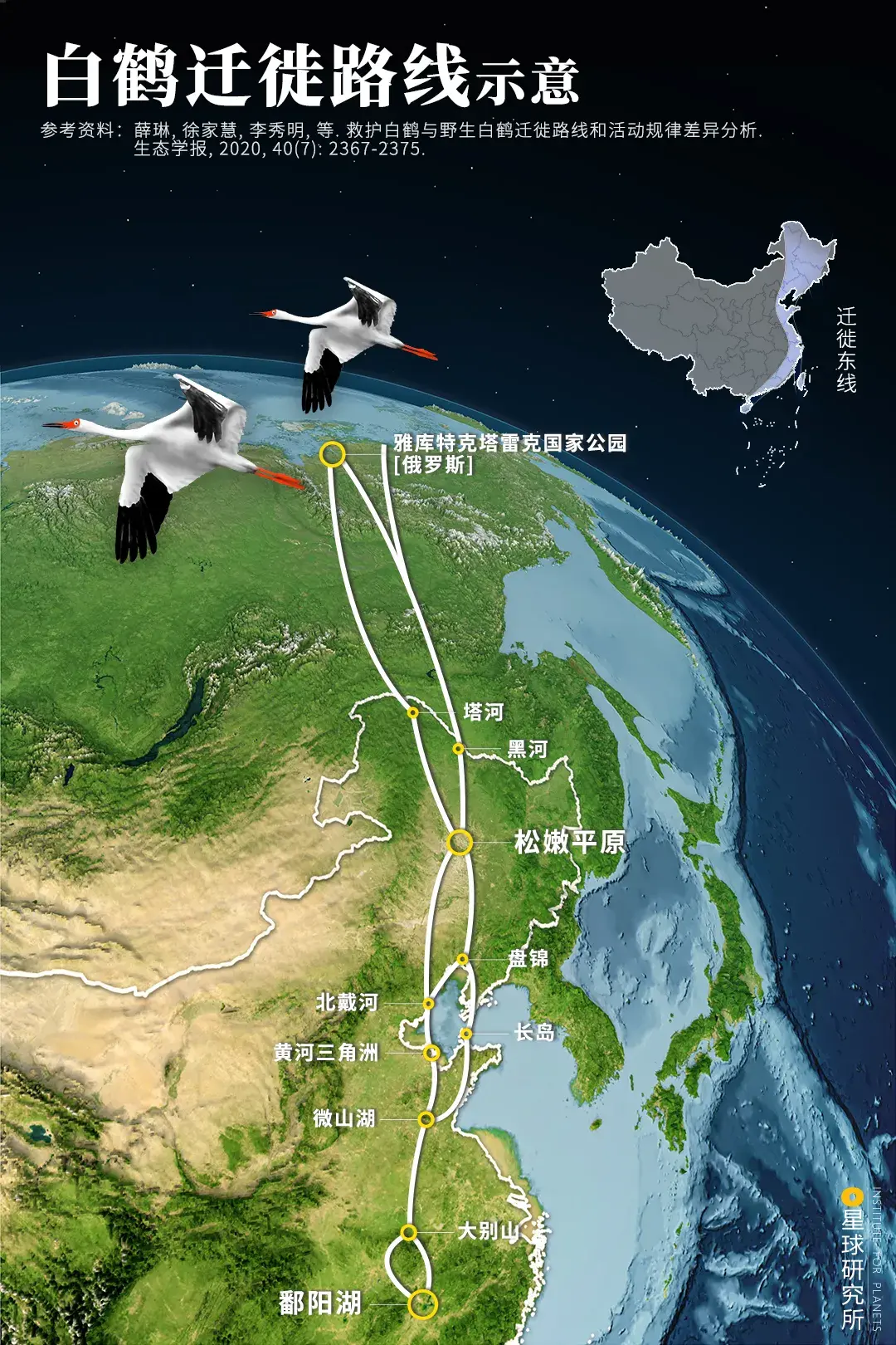 候鸟为什么要迁徙？迁徙路线是怎样的？ - 知乎