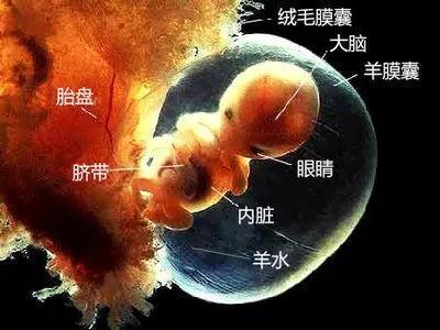 羊水破了什么感觉 有人说羊水破了感觉像尿失禁一样 知乎 羊水破了什么感觉 有人说羊水破了感觉像尿失禁一样 知乎