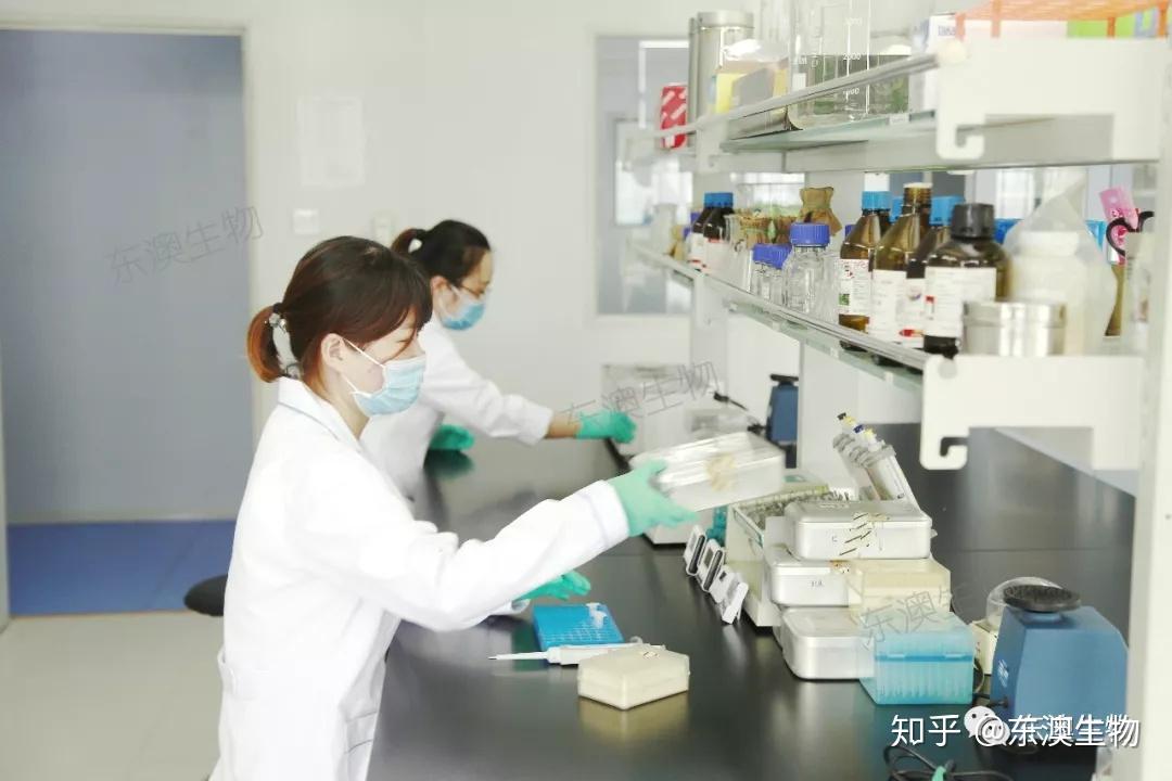 做实验 | 学会这些酶切技术，告别科研被动996~ - 知乎