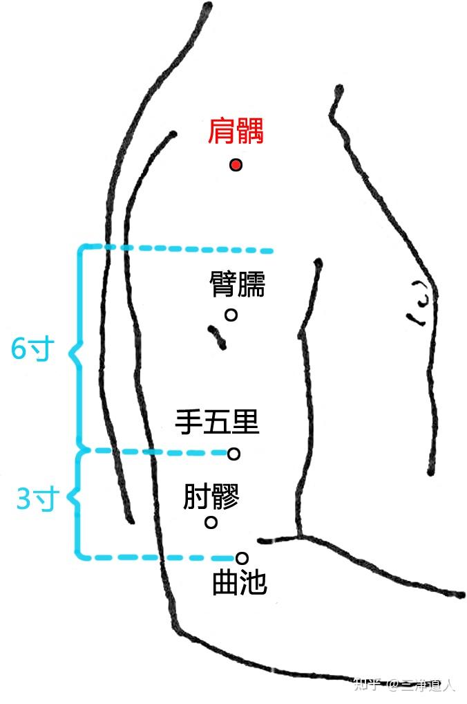 肩髃定位的准确位置图片