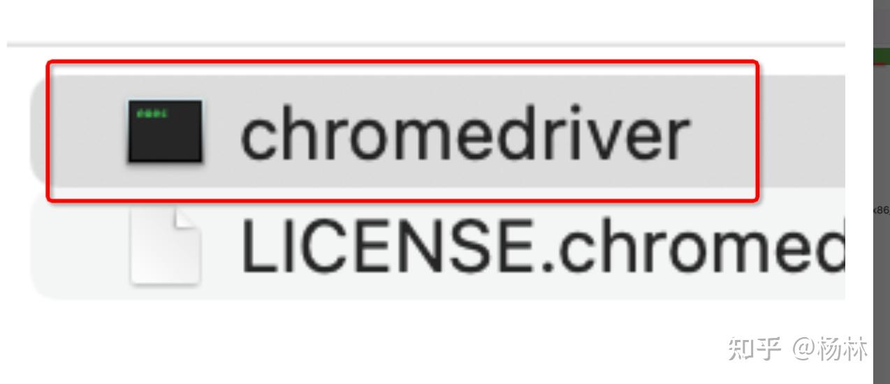 Google chromedriver 