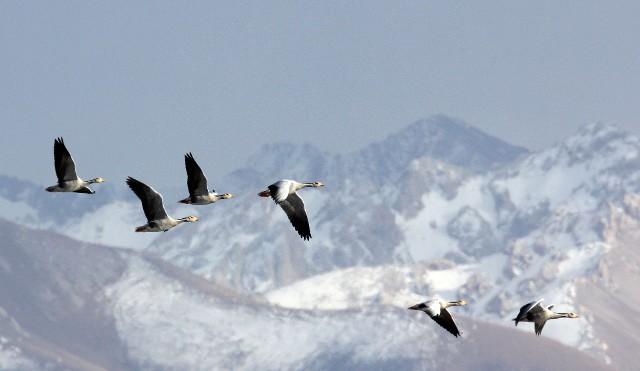 v2-83b4923a7a7ecbcea9574928b8cffeab_1440w.jpg?source=172ae18b