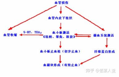 可吸收止血材料的研究现状与应用 - 知乎