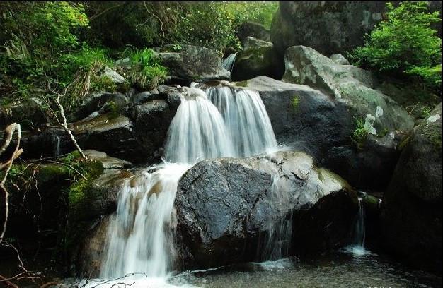 民族品牌地方特色何爹浏阳蒸菜