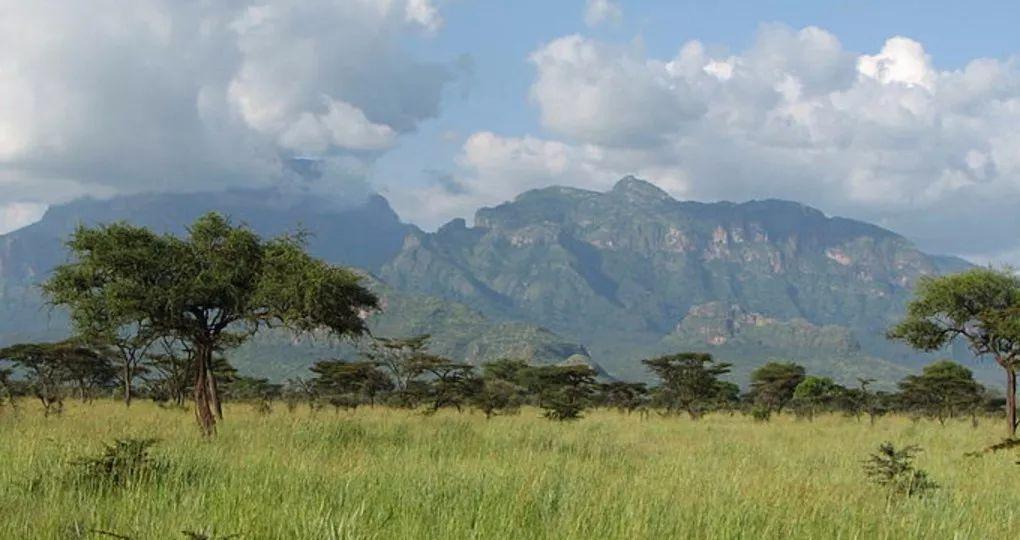 自由行最好签证的国家有哪些?