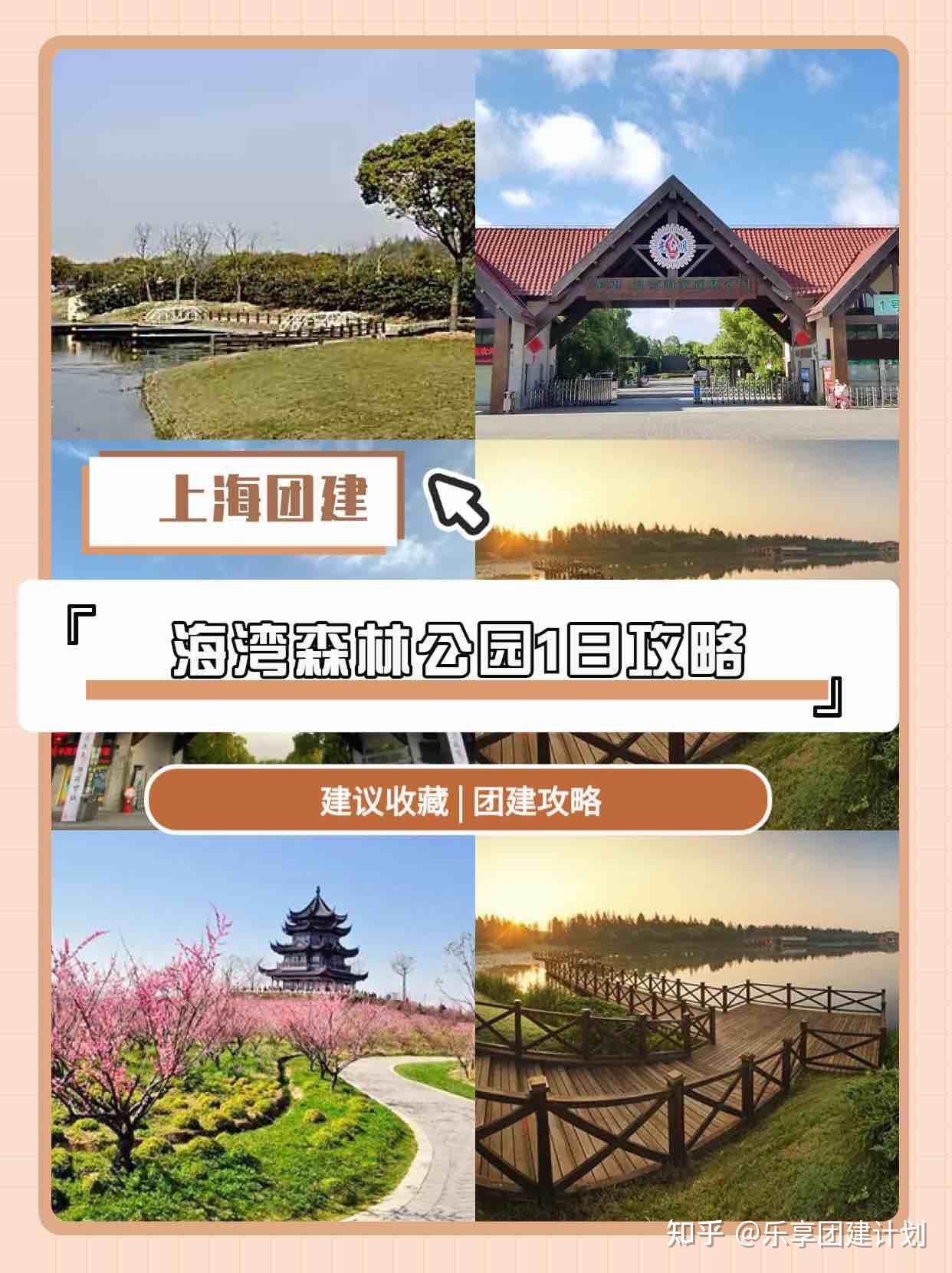 上海团建海湾森林公园1日行程分享+玩法攻略 - 知乎