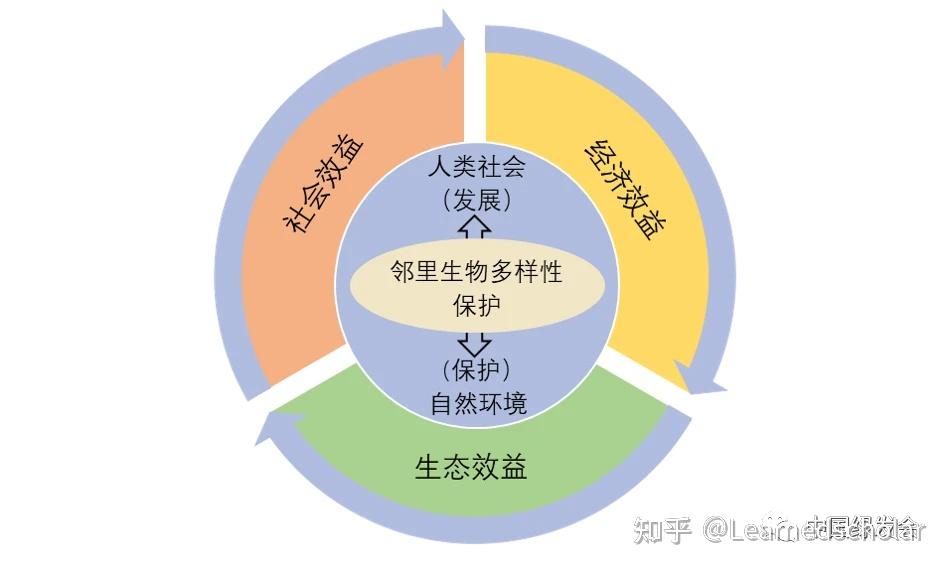 物种多样性:地球上生命之奇迹 - 知乎