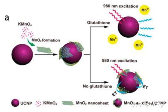 FITC-MnO2 异硫氰基荧光素标记二氧化锰/TRITC-MnO2 四甲基罗丹明标记二氧化锰 - 知乎