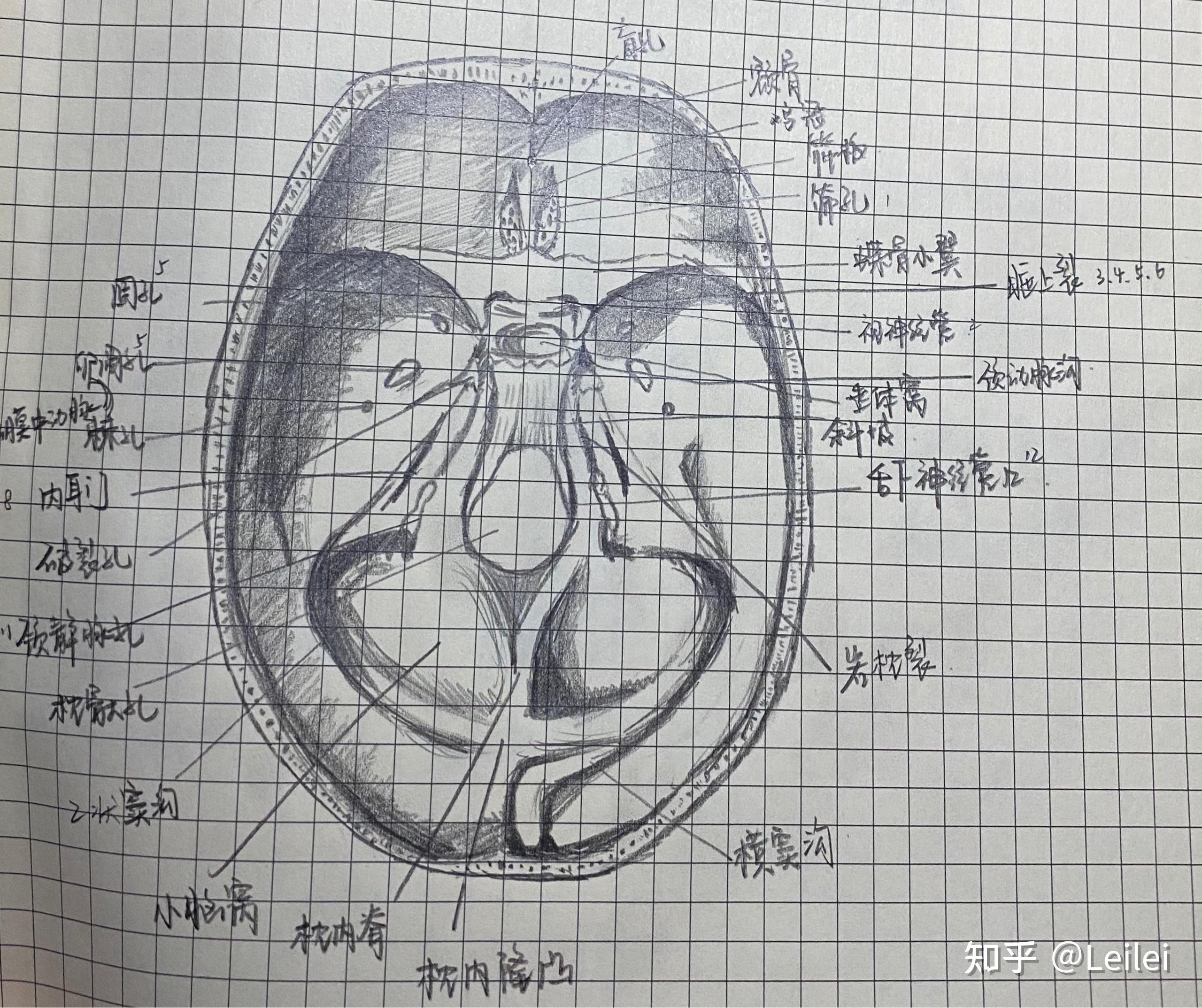 系解绘图 - 知乎