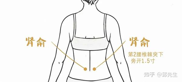 肾俞穴:在第二腰椎棘突旁开1.5寸处.