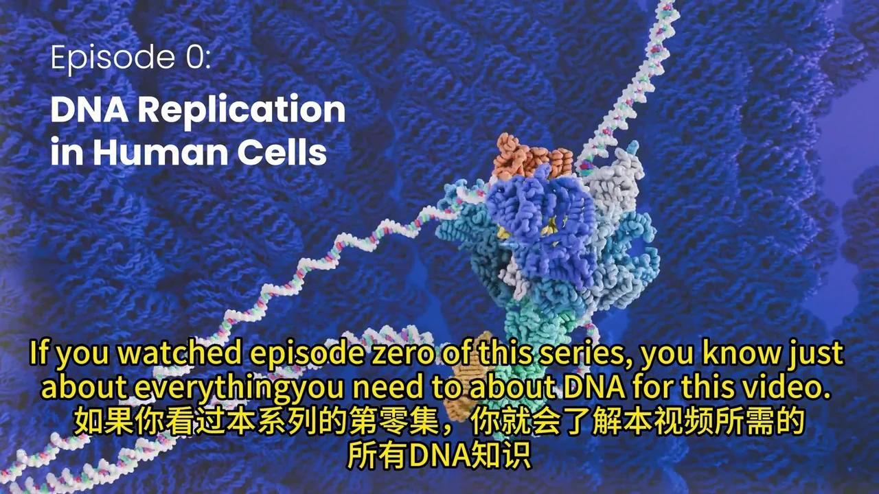 彻底解密DNA转录与mRNA剪接:动画揭秘生物学奥秘 - 知乎