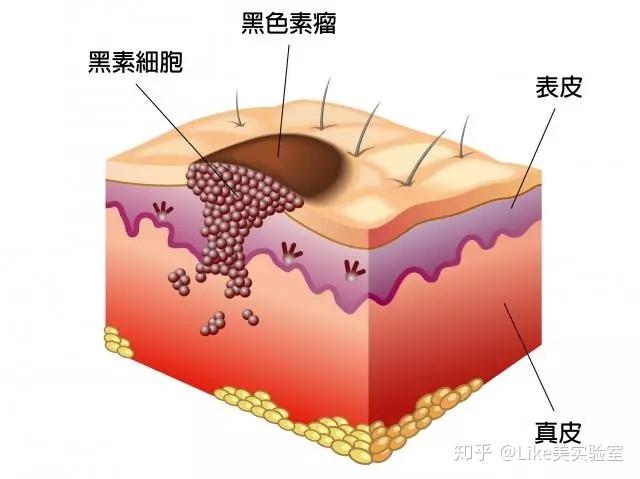 v2-840f95df188336dc3d717c8c1bde8653_r.jpg