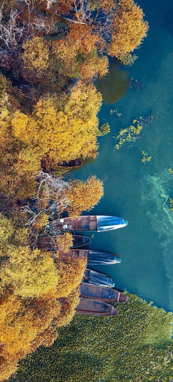 36张绝美风景壁纸 - 知乎