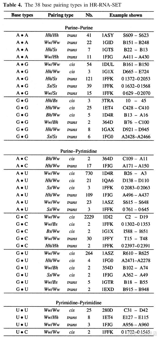 RNA碱基配对图片