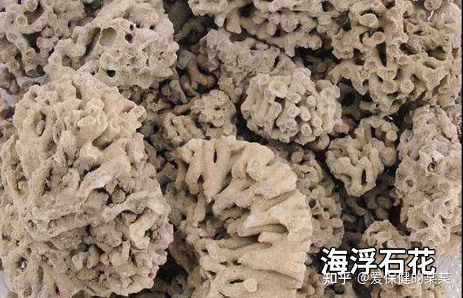 一起来看化痰止咳平喘药——海浮石 - 知乎
