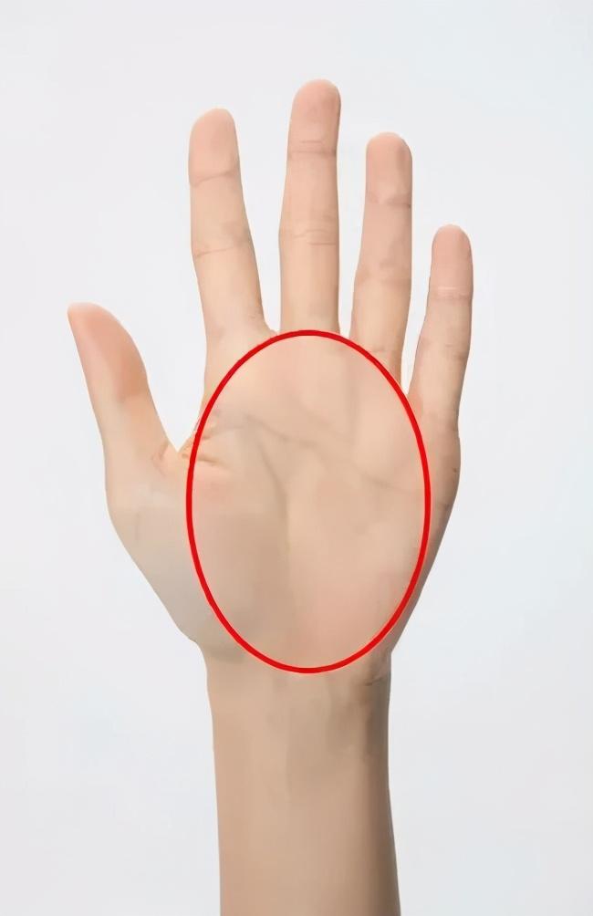 糖友每日饮食遵循手掌法则简单实用还不升糖