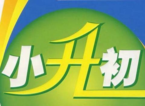 小升初语文复习专题12:阅读与写作…          赞同 添加评论