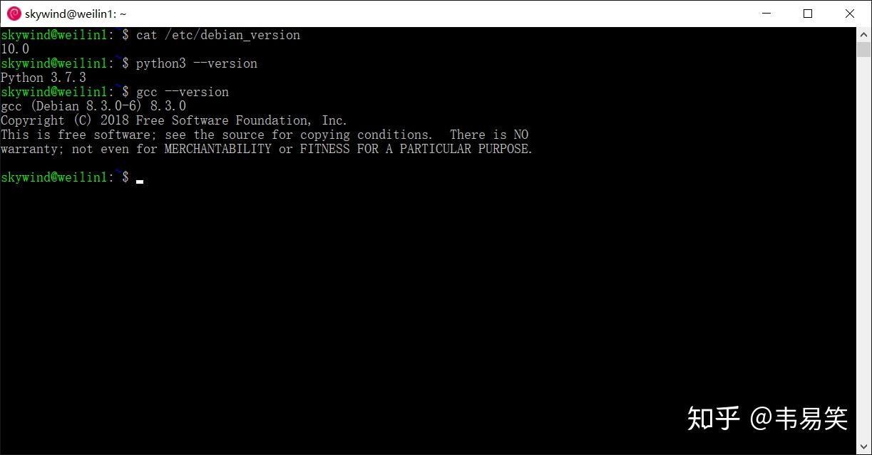 wsl-debian-10-buster