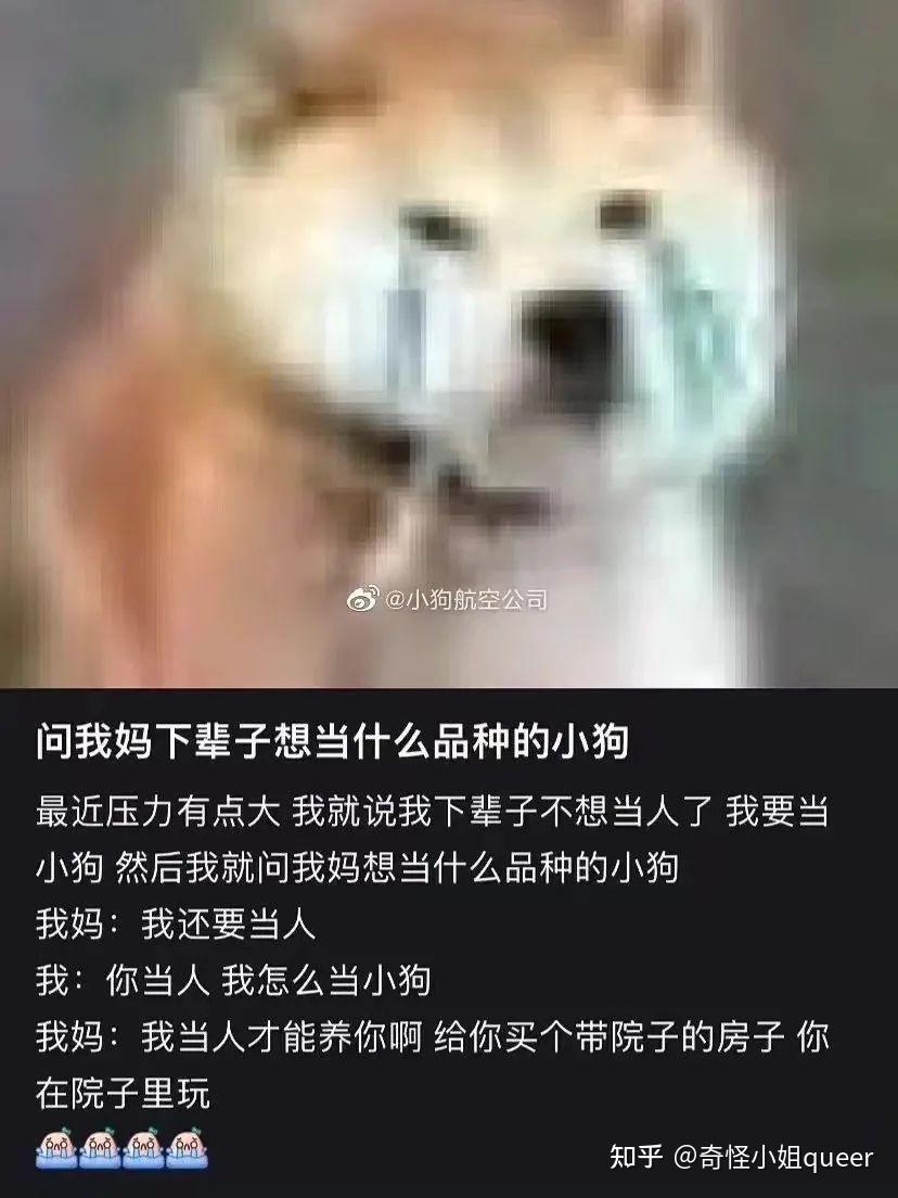 当浓眉遭遇塔图姆 防守巨兽与进攻多面手的战术博弈全解析