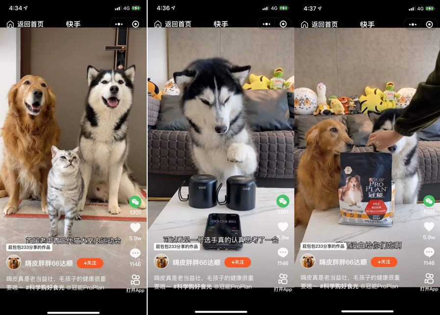 百万宠物老铁围观快手双11联袂普瑞纳冠能塑造宠物直播新模式