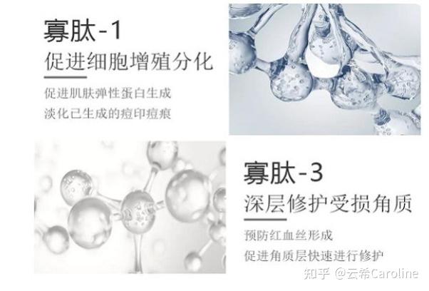 氨基酸合成的寡肽1oligopeptide1比egf好吸收