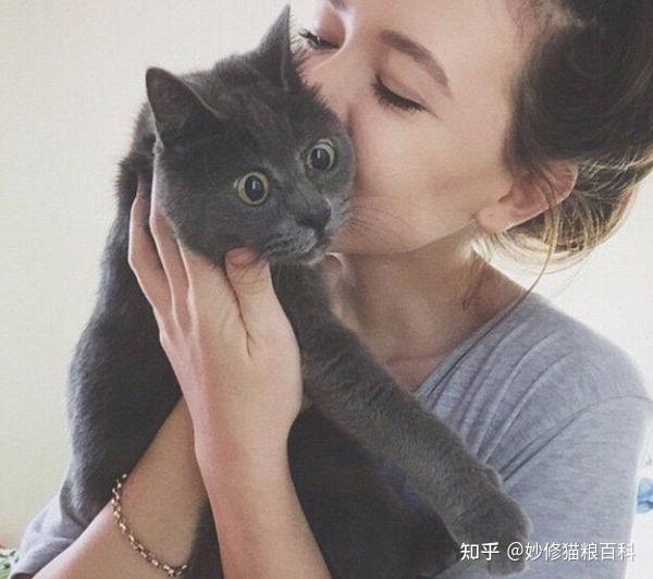 猫咪更喜欢女主人的原因,我找到了! - 知乎