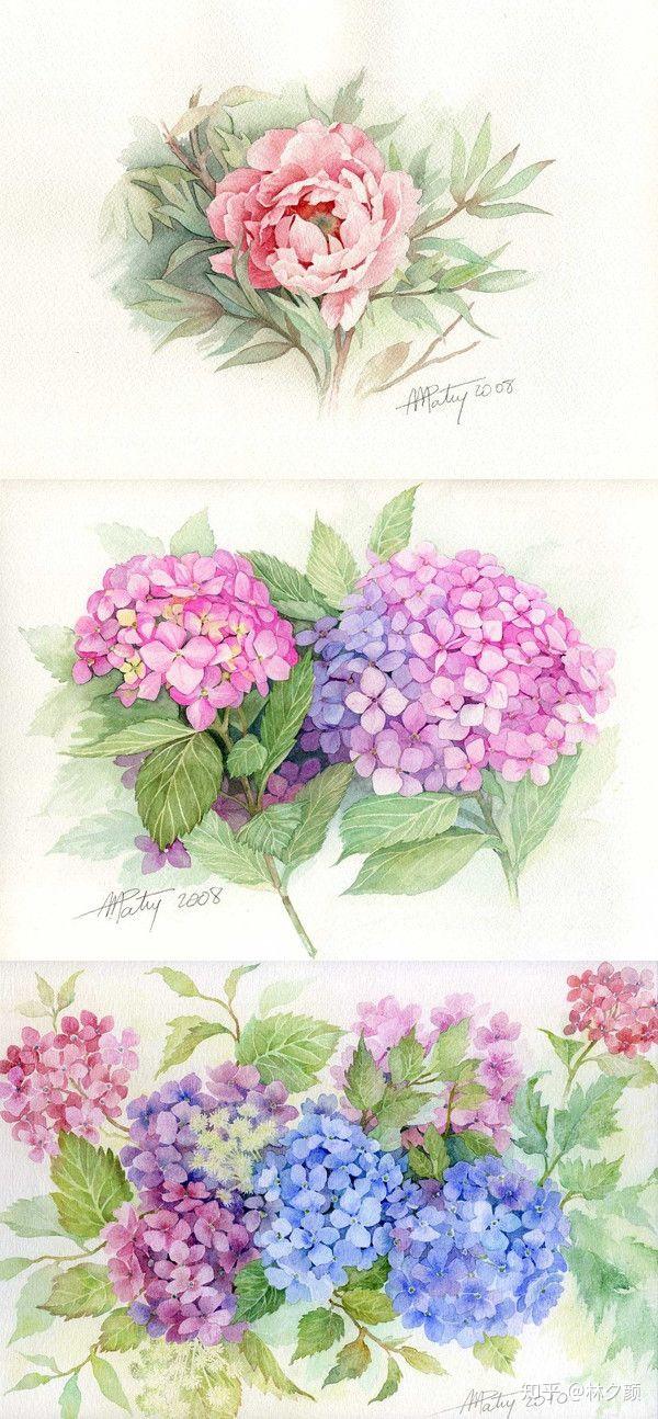 【干货】关于花的画法合集！来‘花花世界’，学画花的婀娜多姿~ - 知乎