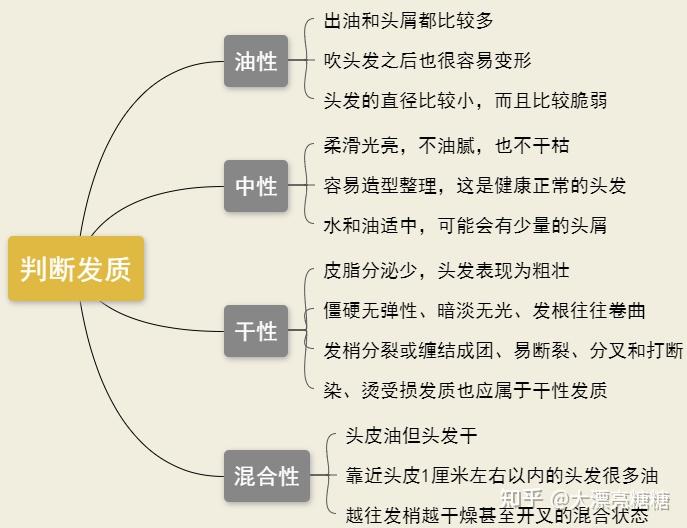 头发的特征(头发的雅称词)