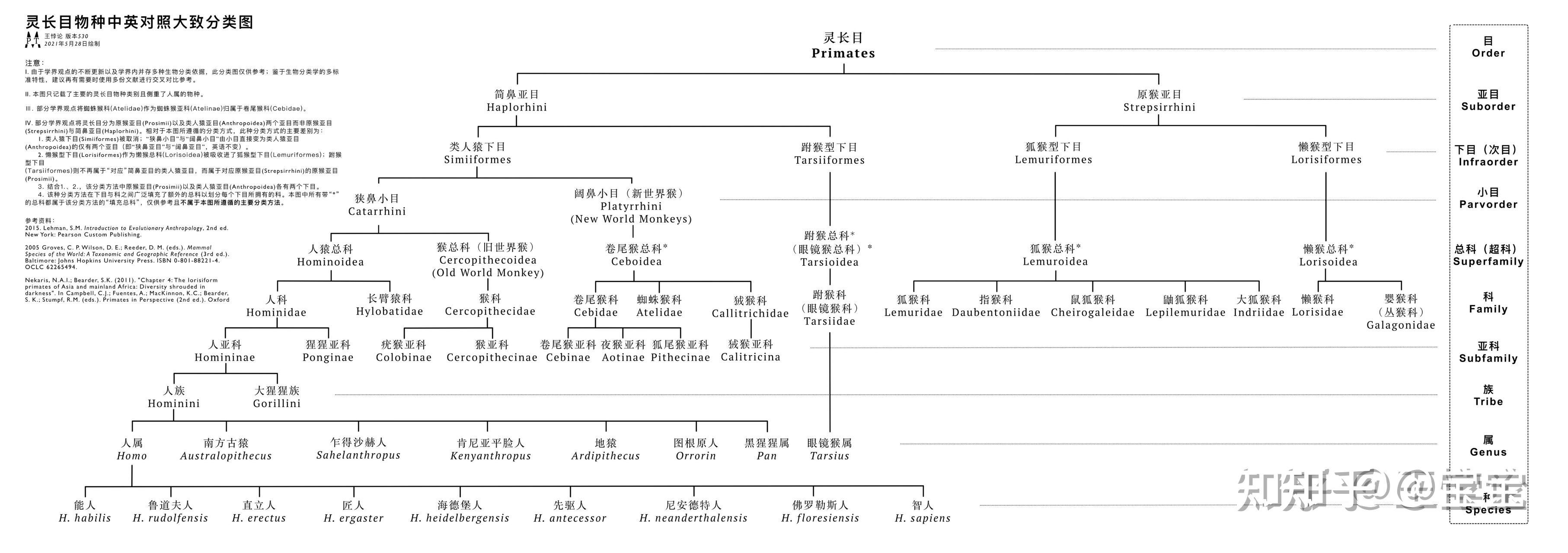 生物进化树整理 - 知乎