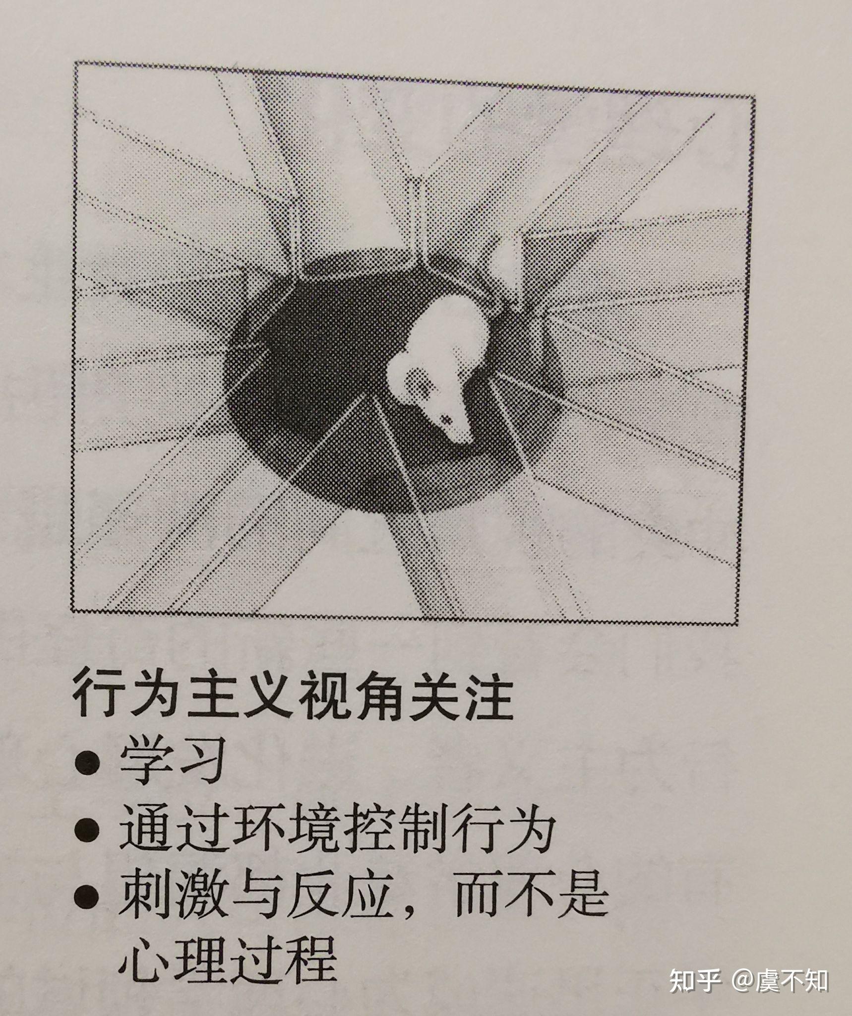 蝙蝠侠