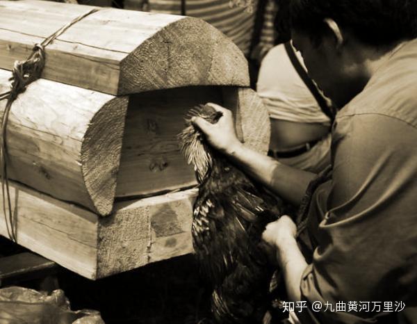 农村抬丧时为什么在棺材上放公鸡是有原因的