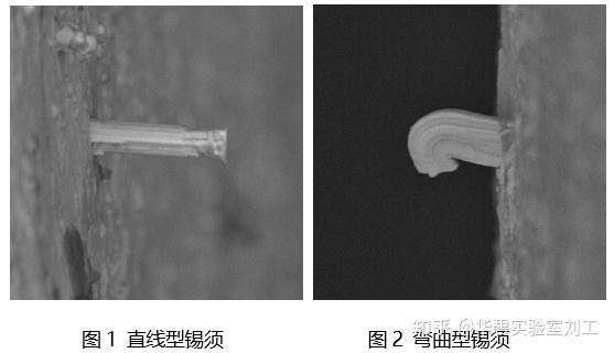 锡须的生长机理、危害及检测 - 知乎