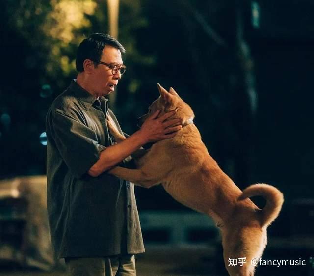《忠犬八公》成影院黑马,口碑评分8.1,冯小刚宝刀未老! - 知乎