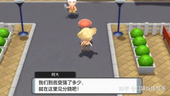 宝可梦晶灿钻石发售日期(《宝可梦晶灿钻石明亮珍珠》一周目图文攻略)  第107张