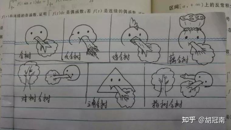 python教程四函数真的是含着树吗程序的函数一