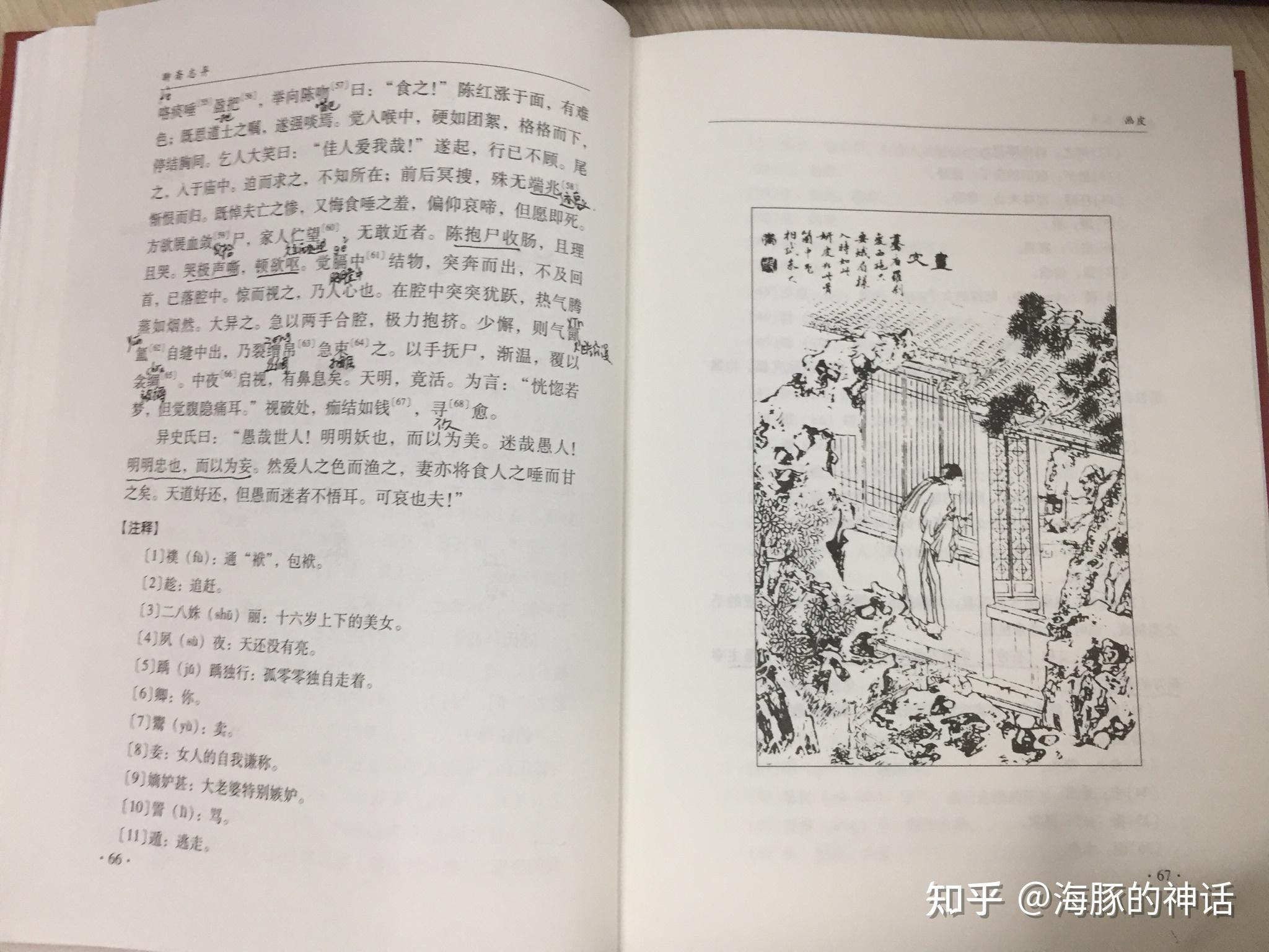 聊齋志異畫皮