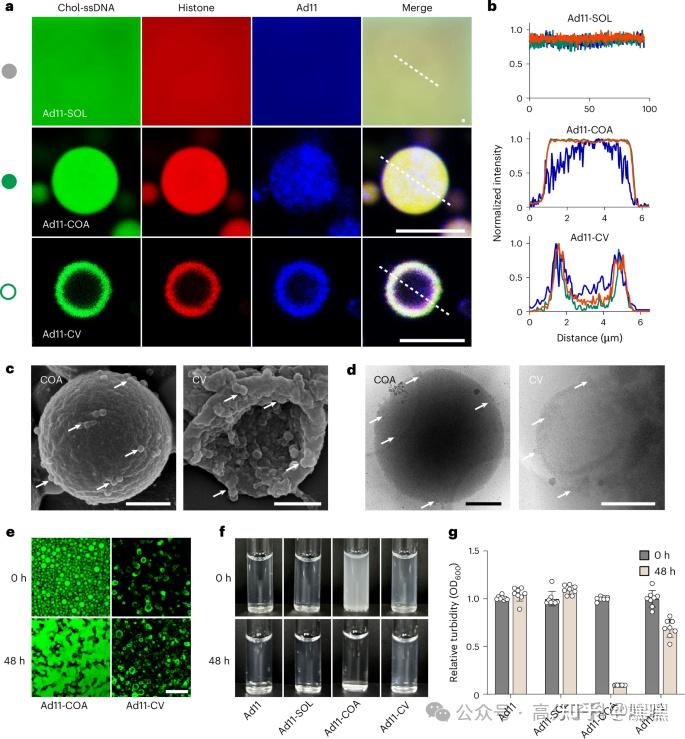 浙江大学顾臻团队，最新Nature Chemistry！ - 知乎