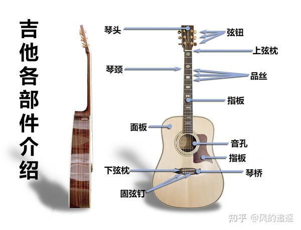 吉他有哪些组成部分图片