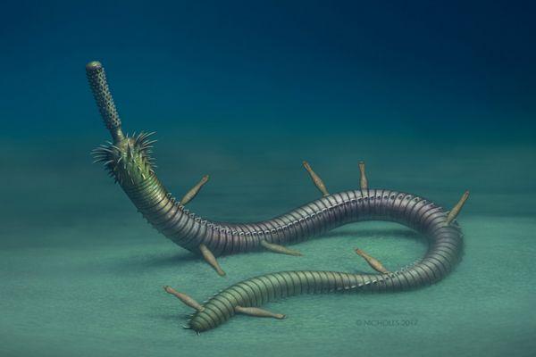 天天学普地显生宙时期一