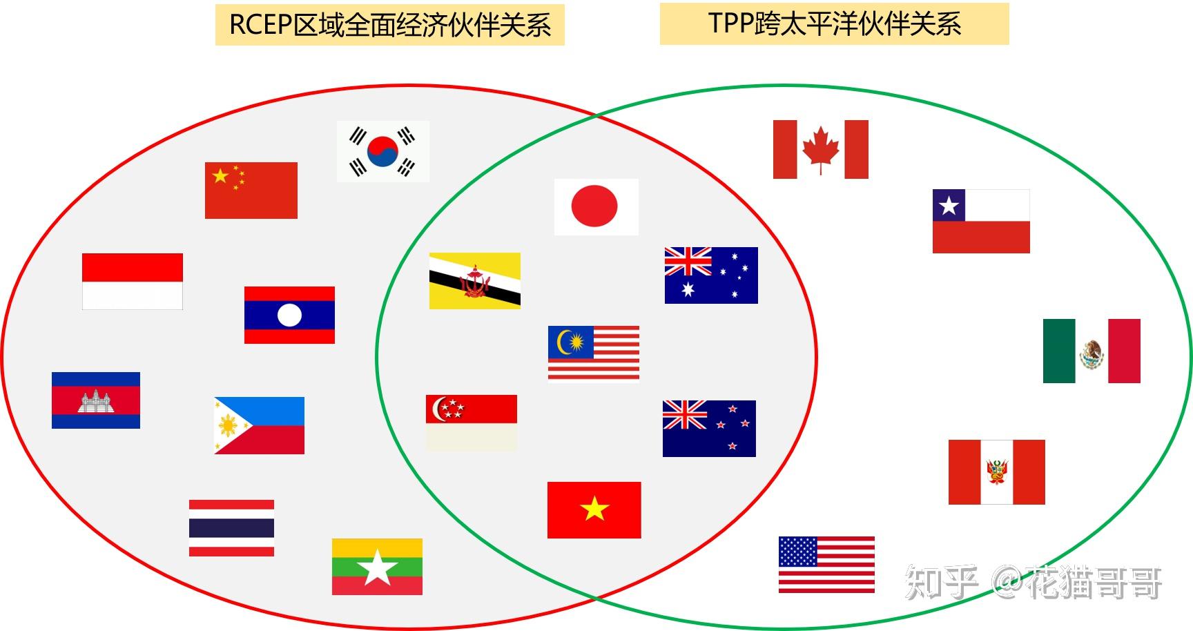 rceptpp图片