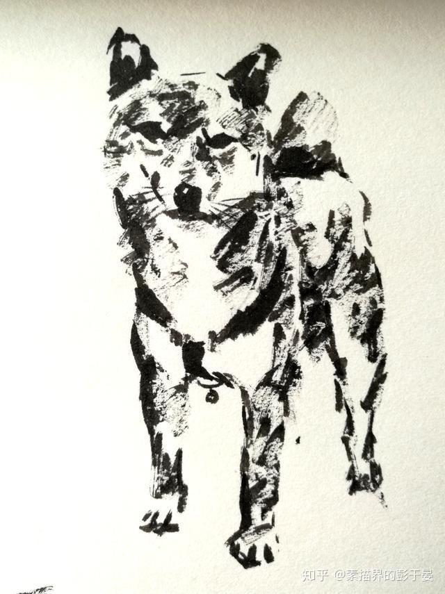 素描动物画如何画一只对你微笑的柴犬