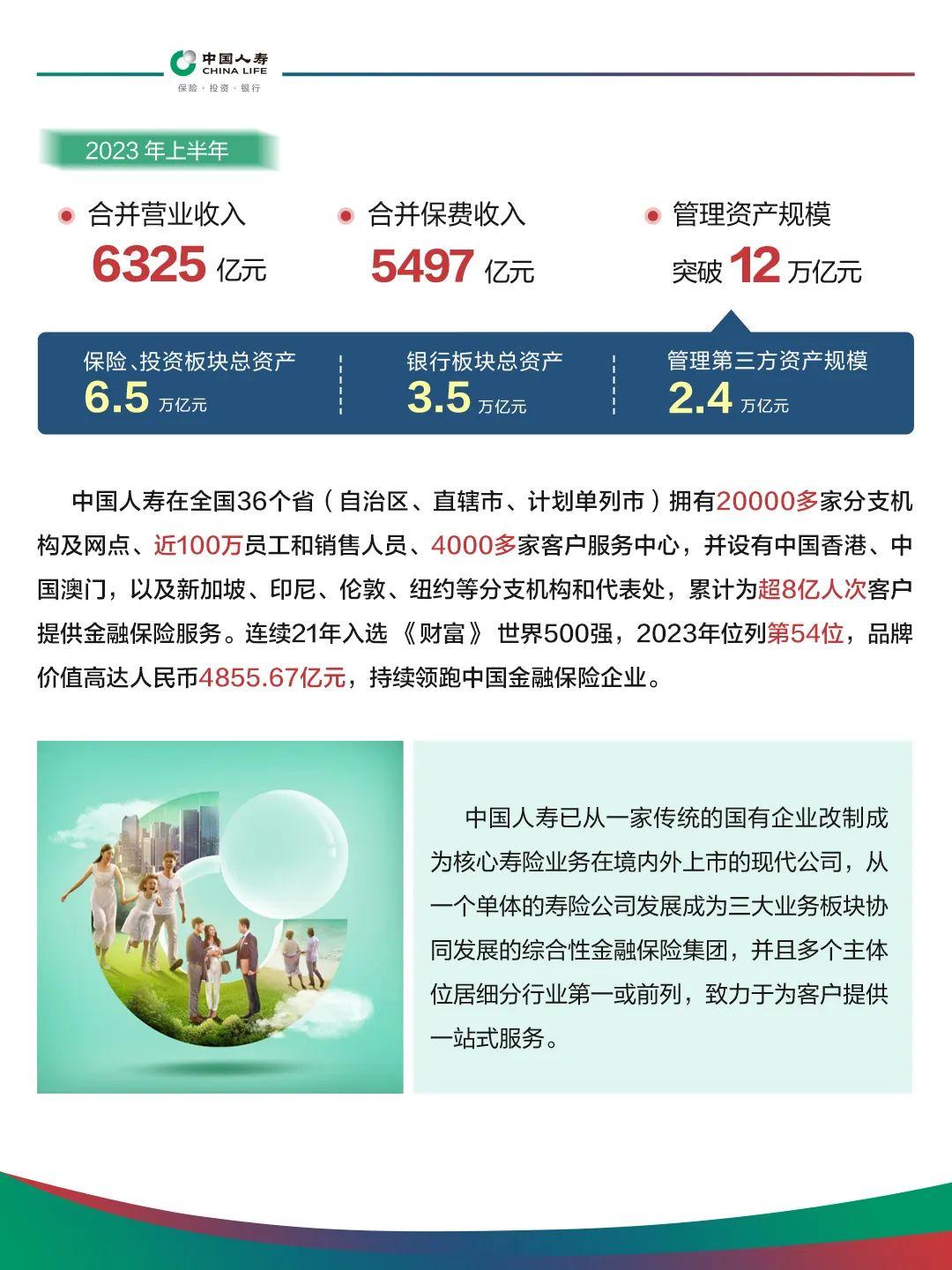 中国人寿保险公司简介图片