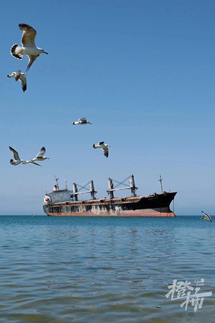 搁浅威海海边一年多的"布鲁维斯"货轮,何去何从?